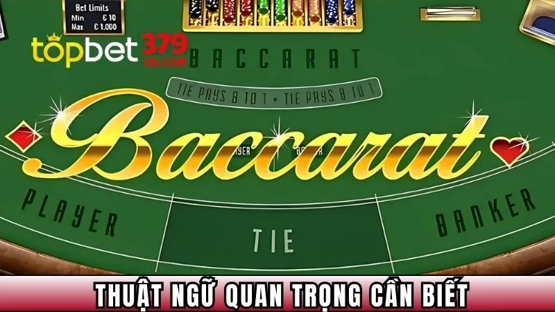 Thuật ngữ quan trọng cần biết