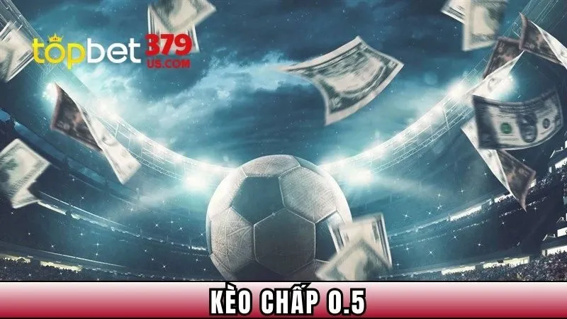 keo-chap-0-5-dai-dien