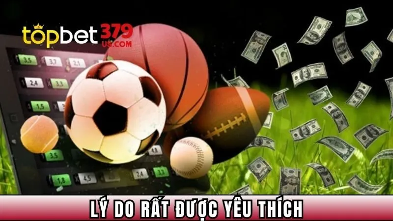 Lý do rất được yêu thích 