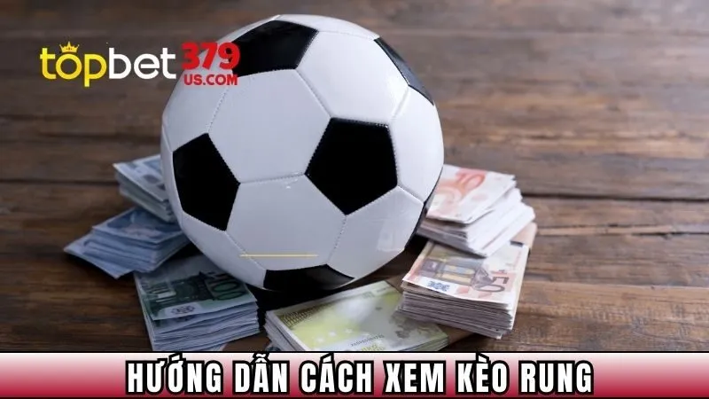 Hướng dẫn cách xem kèo rung